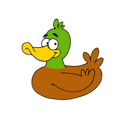 Funny illustration of a duck with green head and brown body