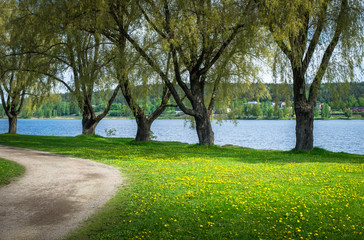 Fototapeta premium A path by the river with green trees in Hämeenlinna, Finland