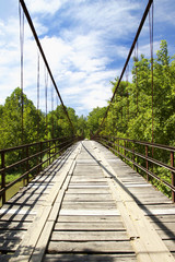 Obraz premium Brumley Swinging Bridge