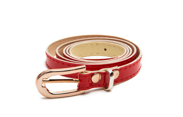 Red female belt isolated