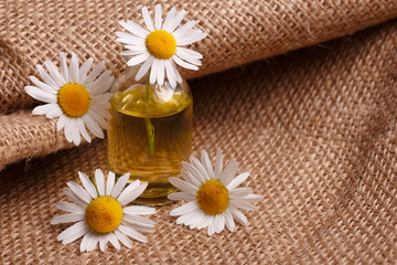 chamomile essential oil on the rustic background from the sackcloth