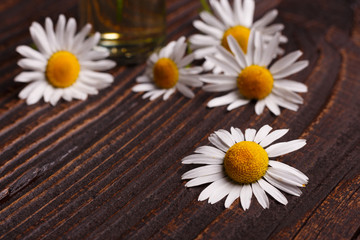 Obraz premium Chamomile essential oil on a dark wooden background