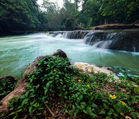 Upstream waterfall in the forest with green trees in the rainy season.