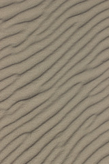 Sand Ripples
