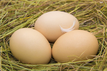 Hen eggs in straw ,fresh farmer's egg.