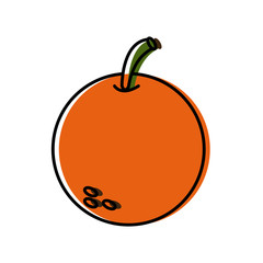 orange fruit citrus nature food fresh vector illustration