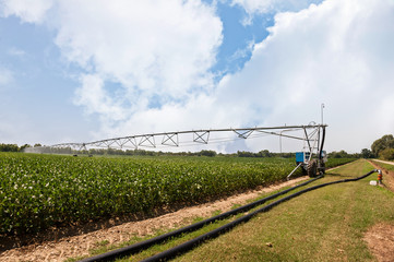 Crop Irrigation using the center pivot sprinkler system