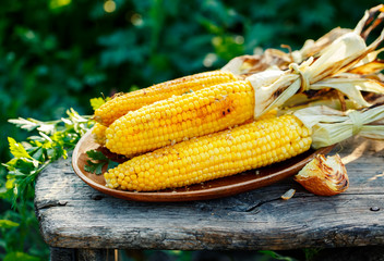Grilled corn cobs © valya82