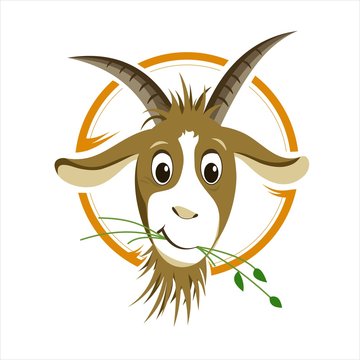 Cartoon goat - Illustration