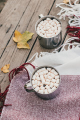 Sweet cocoa with marshmallows standing on a red blanket in autumn forest
