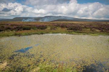 Pennine Way on Fire and the glorious 12th