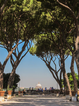 Beautiful view among trees of St. Peter's Basilica at the viewpoint of Giardino degli Aranci at Piazza Pietro D'Illiria (Rome, Italy)