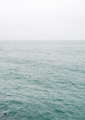 Fog and clouds hovering over the ocean