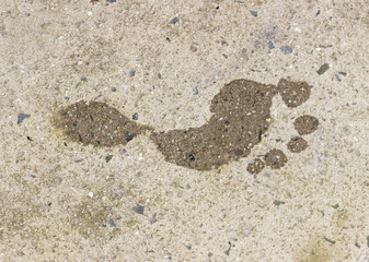 Wet Footprint