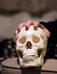 Human Skull