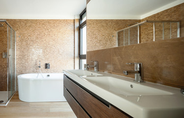 Luxury bathroom in a modern house