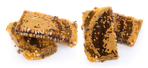 honeycomb isolated on white background