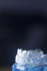 Dental teeth bracets model