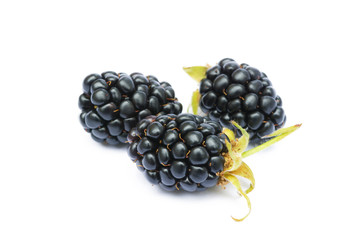 Ripe sweet blackberries isolated on a white background