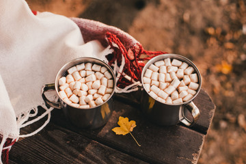 Sweet cocoa with marshmallows standing on a red blanket in autumn forest