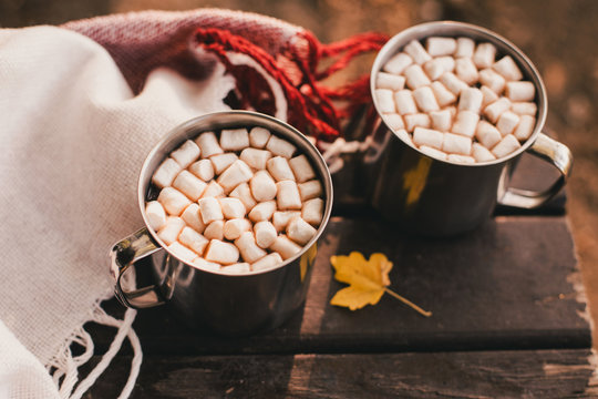 Sweet cocoa with marshmallows standing on a red blanket in autumn forest