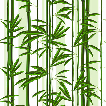 Seamless pattern with tropical plants bamboo and leaves. Vector Nature illustration