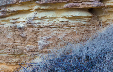 Dry rock on a background of green vegetation