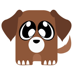 Isolated cute animal