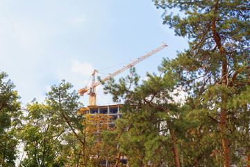 Cutting of urban forests. The extension of the city