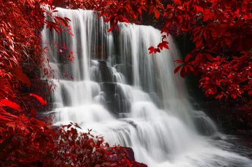 Foto auf Acrylglas Toilette Man Daeng-Wasserfall.