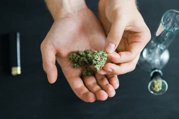 In Hands of a man medical marijuana, cannabis, Bong and thc flower Sativa and Indica Close up on a...