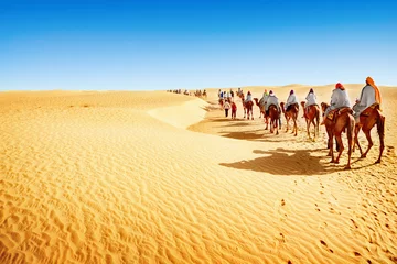  Sahara woestijn © adisa