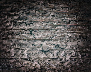 Texture of the old burnt wood. mockup