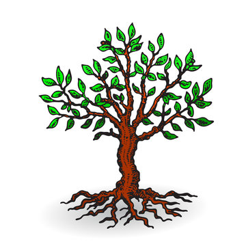 Beautiful tree with leaves, cartoon on a white background.