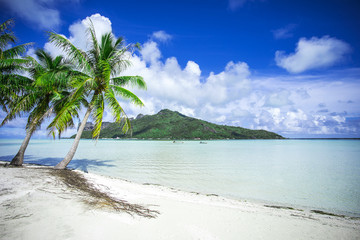 paysage de plage paradisiaque à tahiti, polynésie 