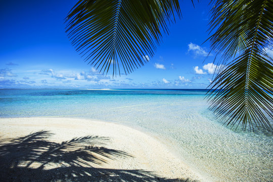 paysage de plage paradisiaque &agrave; tahiti, polyn&eacute;sie 