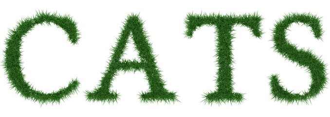 Cats - 3D rendering fresh Grass letters isolated on whhite background.