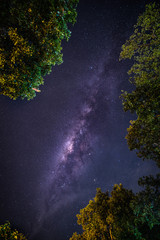 Landscape with Milky way galaxy. Night sky with stars and silhouette trees. Long exposure photograph.