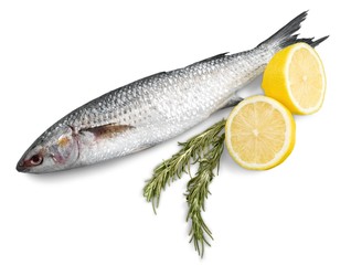 Fish.