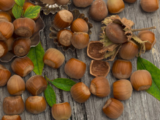 hazelnuts