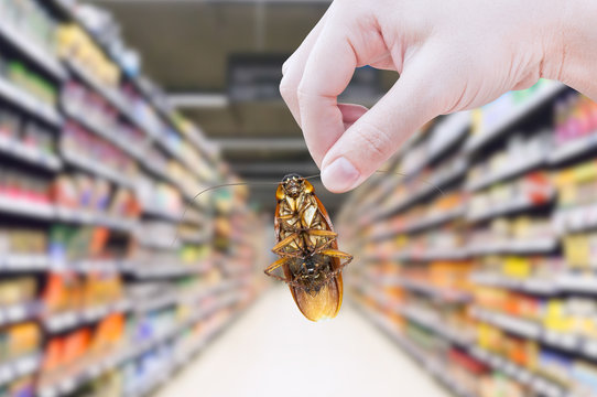 Hand holding cockroach in the supermarket,eliminate cockroach in shopping mall