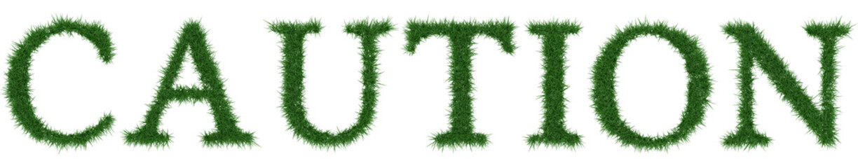 Caution - 3D rendering fresh Grass letters isolated on whhite background.