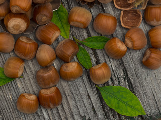 hazelnuts