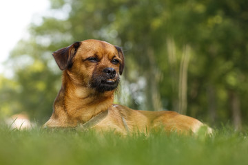 Fototapete bei efototapeten.de bestellen   