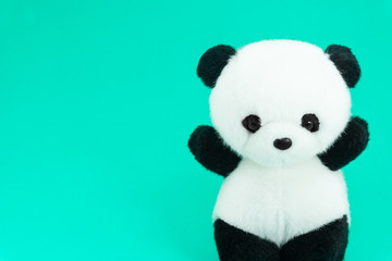 Panda doll black and white, black rim of eyes,panda toy for children on green background