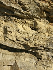 Textur Stein - IMG_20170626_090806