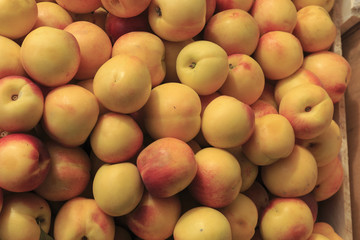 Vegan food. Fresh Peaches, Nectarines, isolated background