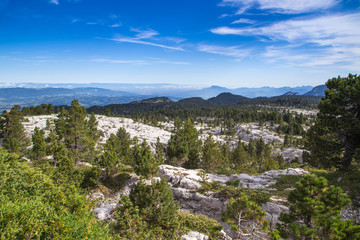 Fototapeta na wymiar Montagne - Le Parmelan