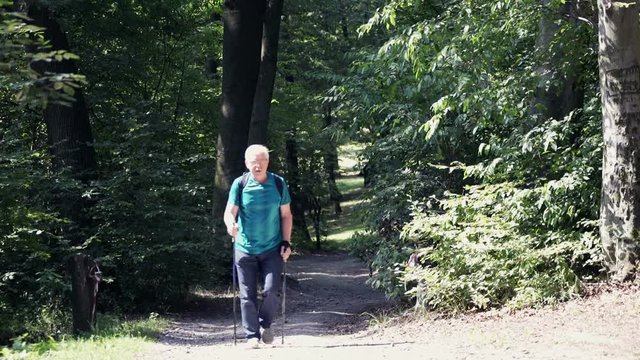 Mature man hiking in forest
