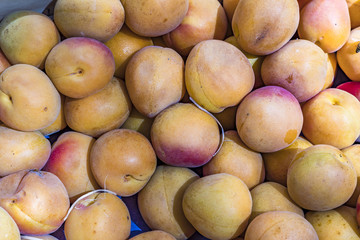 fresh apricots at the food market